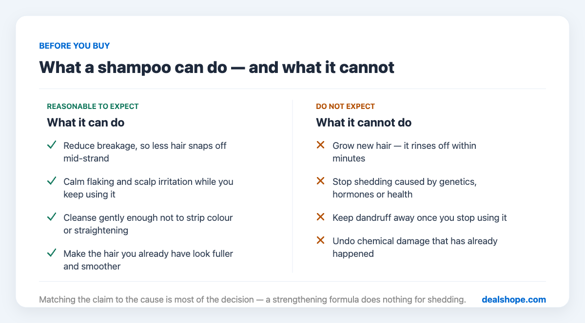 A two-column comparison of what a shampoo can reasonably do, such as reducing breakage and calming flaking, against what it cannot do, such as growing new hair or stopping shedding caused by genetics